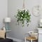 3.5ft. Stephanotis Flowering Plant in Hanging Basket
